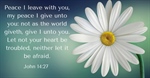 God's Spirit Will Remain with God's People