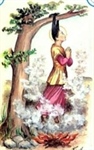 St. Zoe of Rome